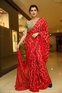 Archana Shastry in Red Ornate Saree 