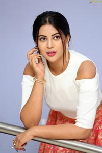 Sahar Afsha