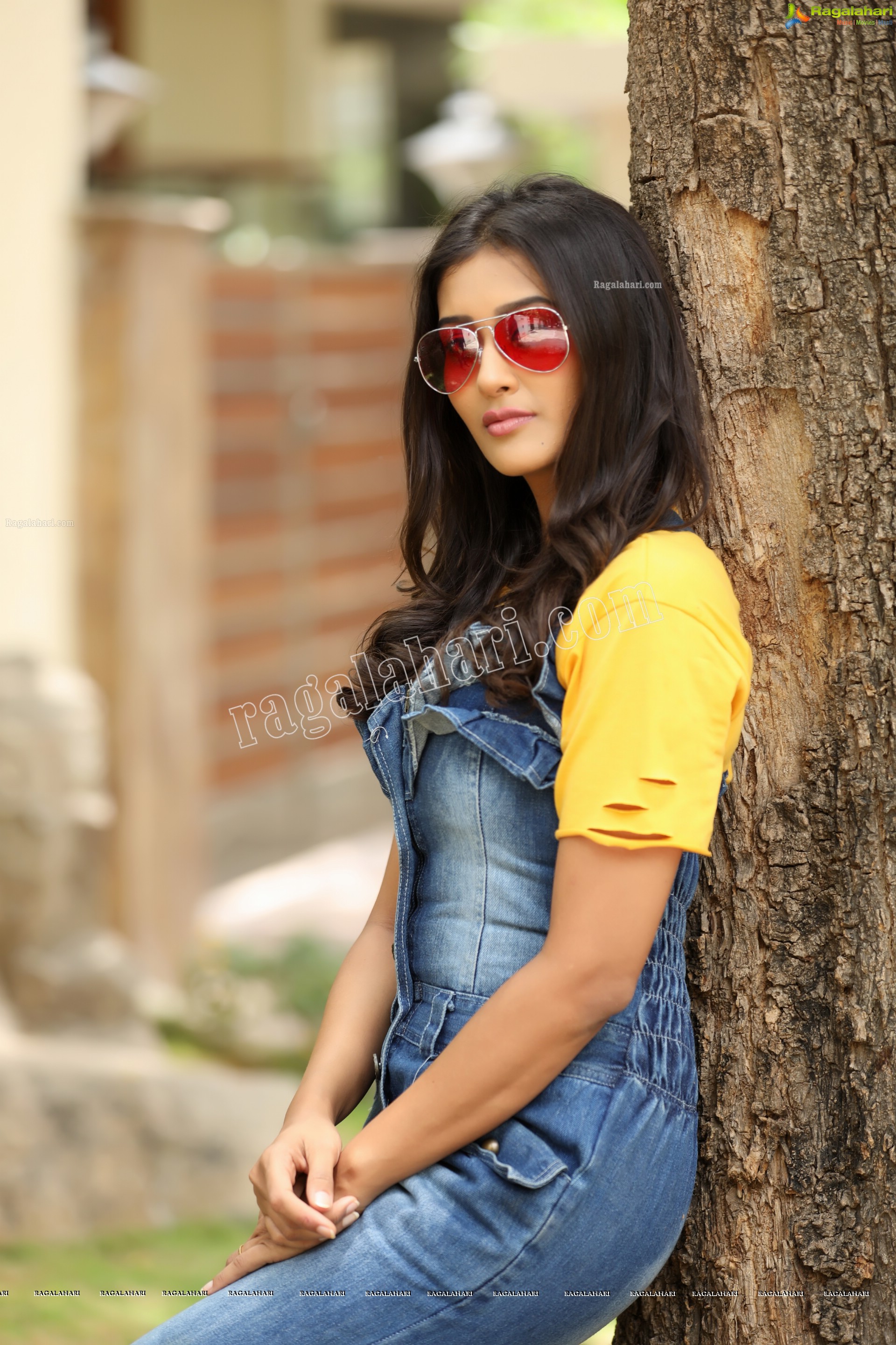 Pooja Jhaveri (Exclusive Studio Shoot) (High Definition Photos)