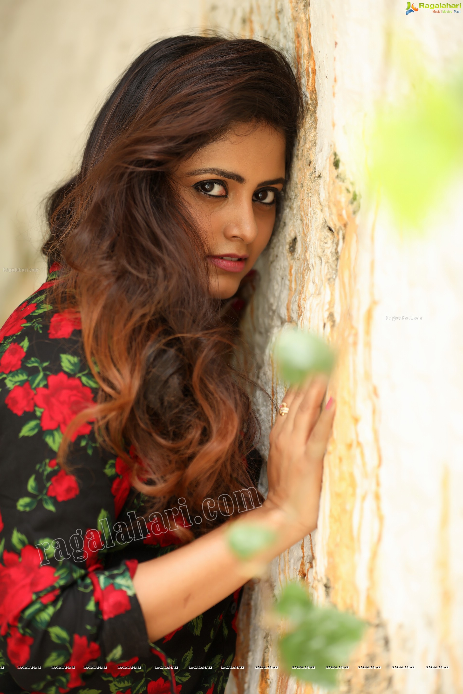 Pragya Nayan (Exclusive Photo Shoot) (High Definition Photos)