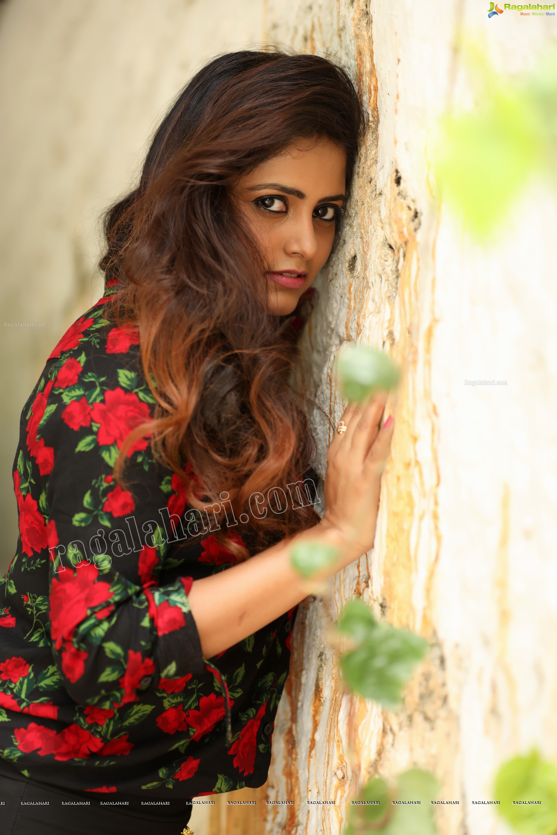 Pragya Nayan (Exclusive Photo Shoot) (High Definition Photos)