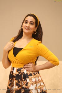 Manjusha at Action Pre-Release