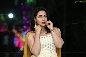 Nandini Rai Latest Photoshoot