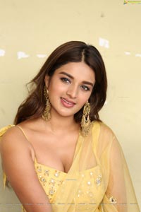 Actress Nidhhi Agerwal