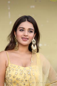 Actress Nidhhi Agerwal