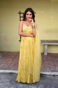 Actress Nidhhi Agerwal