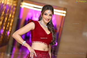 Pallavi Walia Raj at Shaadi by Marriott