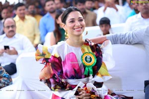 Thamanna at Suchir IVY Greens Launch