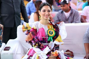 Thamanna at Suchir IVY Greens Launch