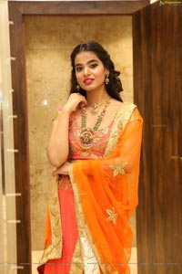 Vaishnavi Rao With Jewellery