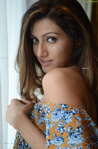 Hamsa Nandini HD Photos