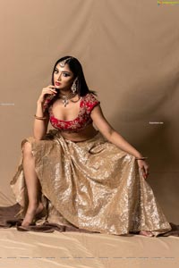 Natasha Doshi Latest Photoshoot Images