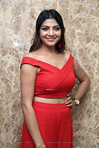 Lahari Shari in Cherry Red Bandage Bardot Crop Top