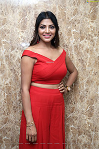 Lahari Shari in Cherry Red Bandage Bardot Crop Top