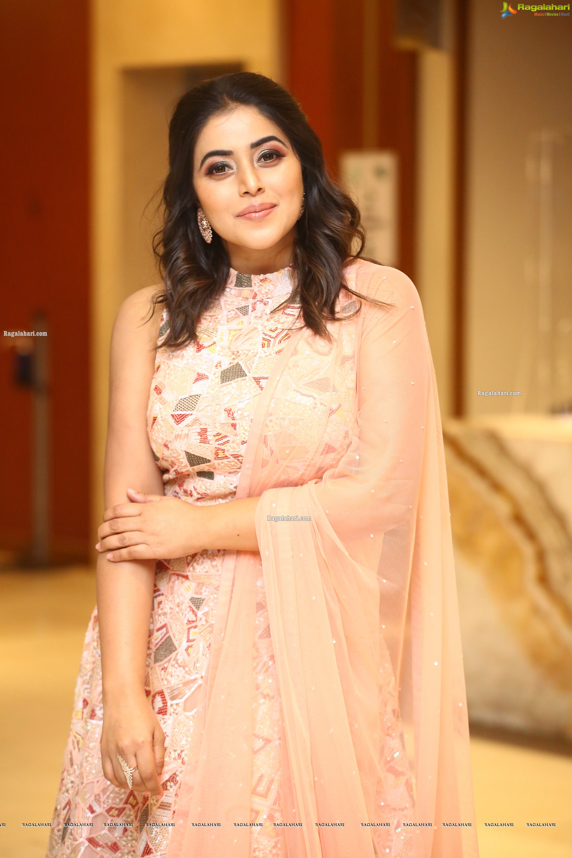 Poorna at Aha Exclusive 3 Roses Pre Launch, HD Photo Gallery