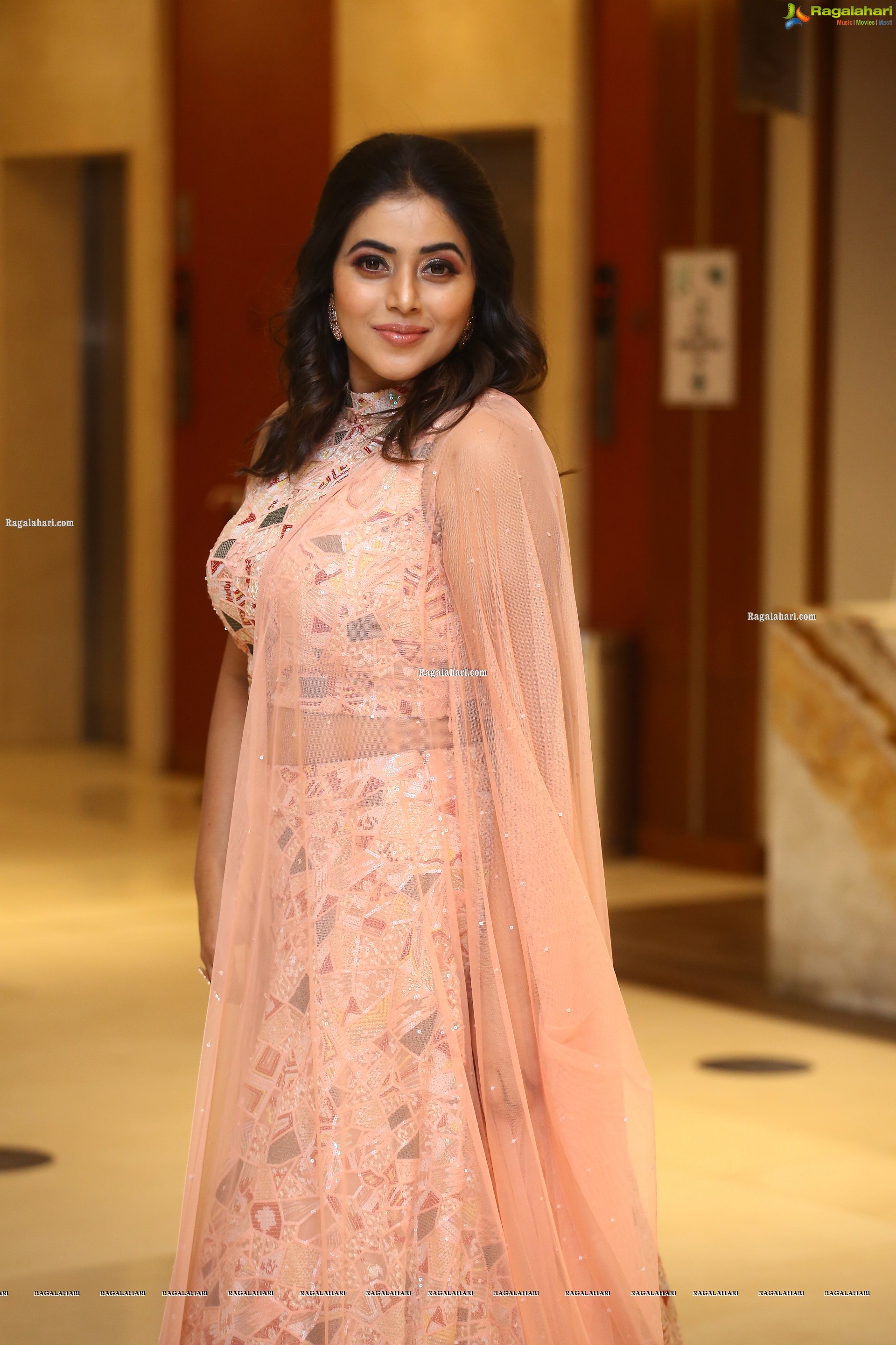 Poorna at Aha Exclusive 3 Roses Pre Launch, HD Photo Gallery