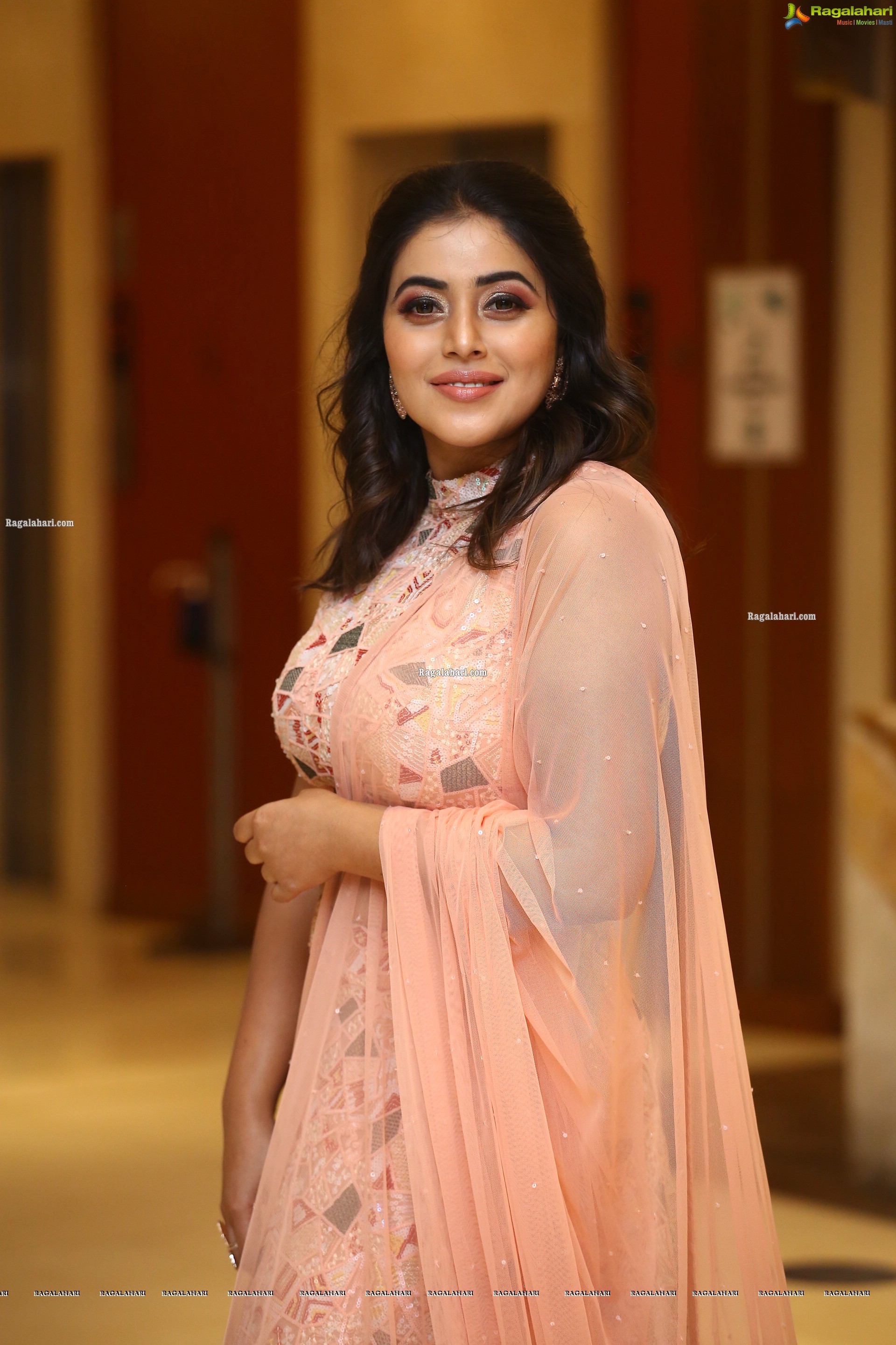 Poorna at Aha Exclusive 3 Roses Pre Launch, HD Photo Gallery