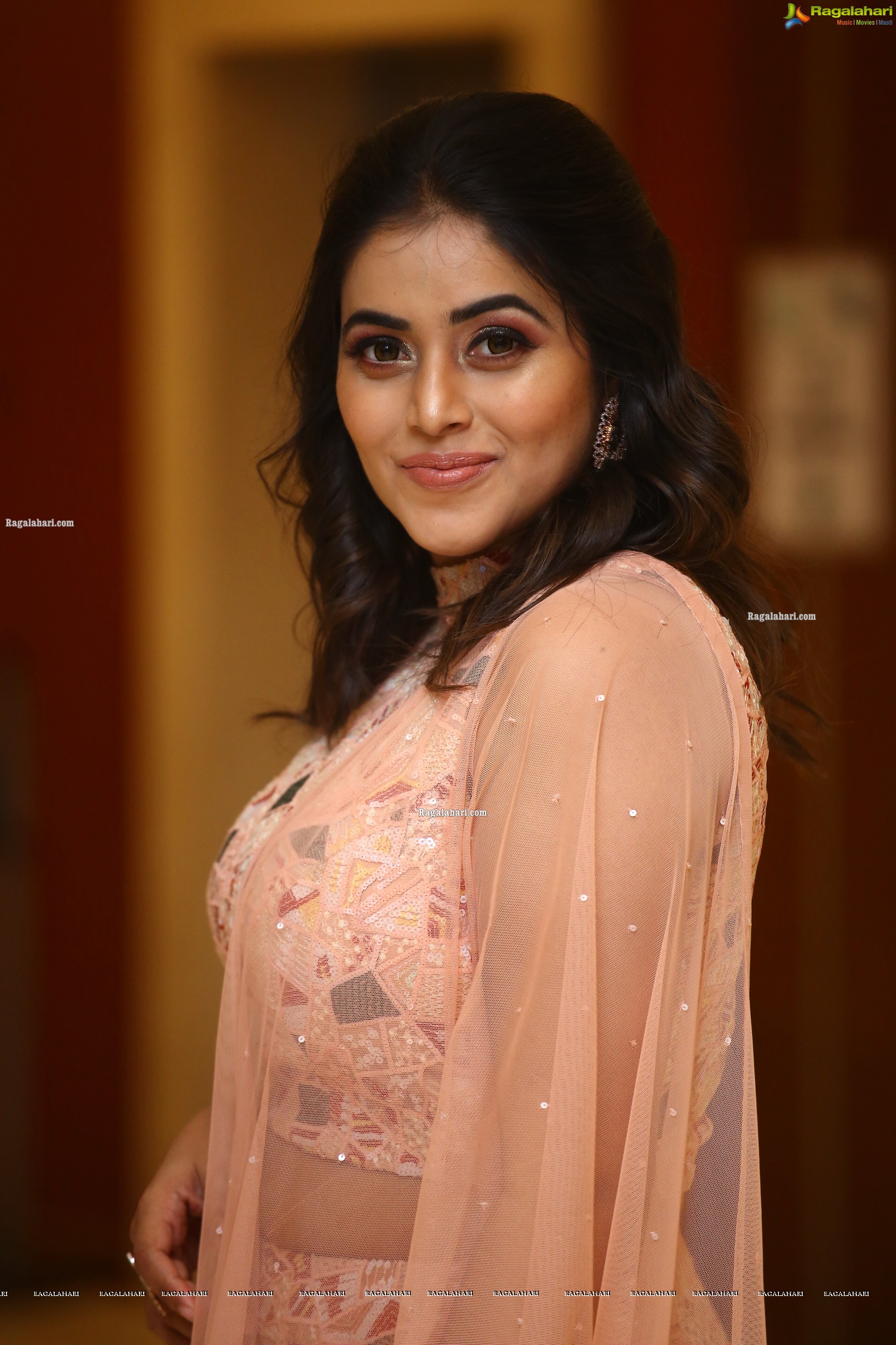Poorna at Aha Exclusive 3 Roses Pre Launch, HD Photo Gallery