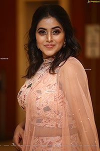 Poorna at Aha Exclusive 3 Roses Pre Launch