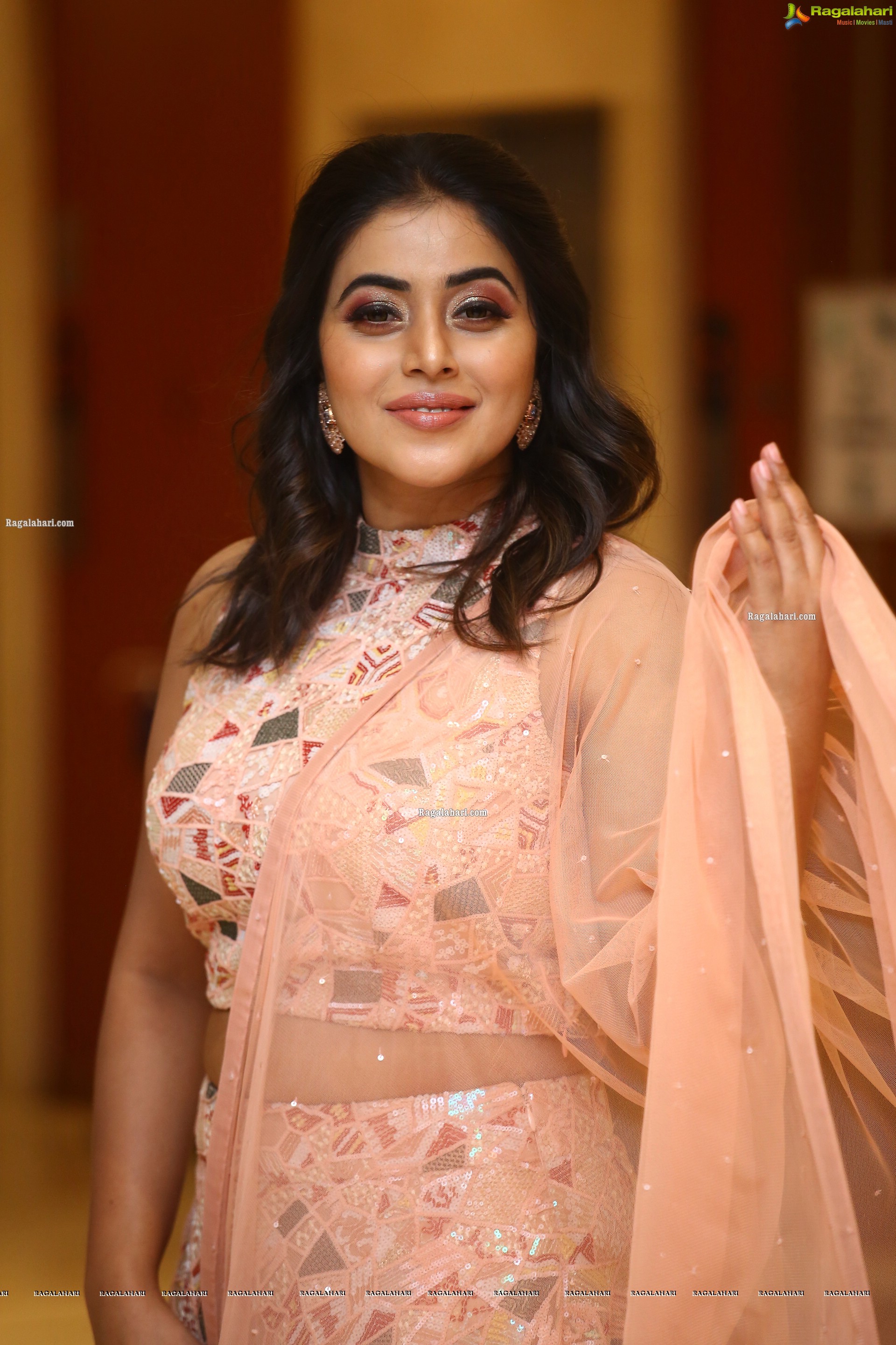 Poorna at Aha Exclusive 3 Roses Pre Launch, HD Photo Gallery