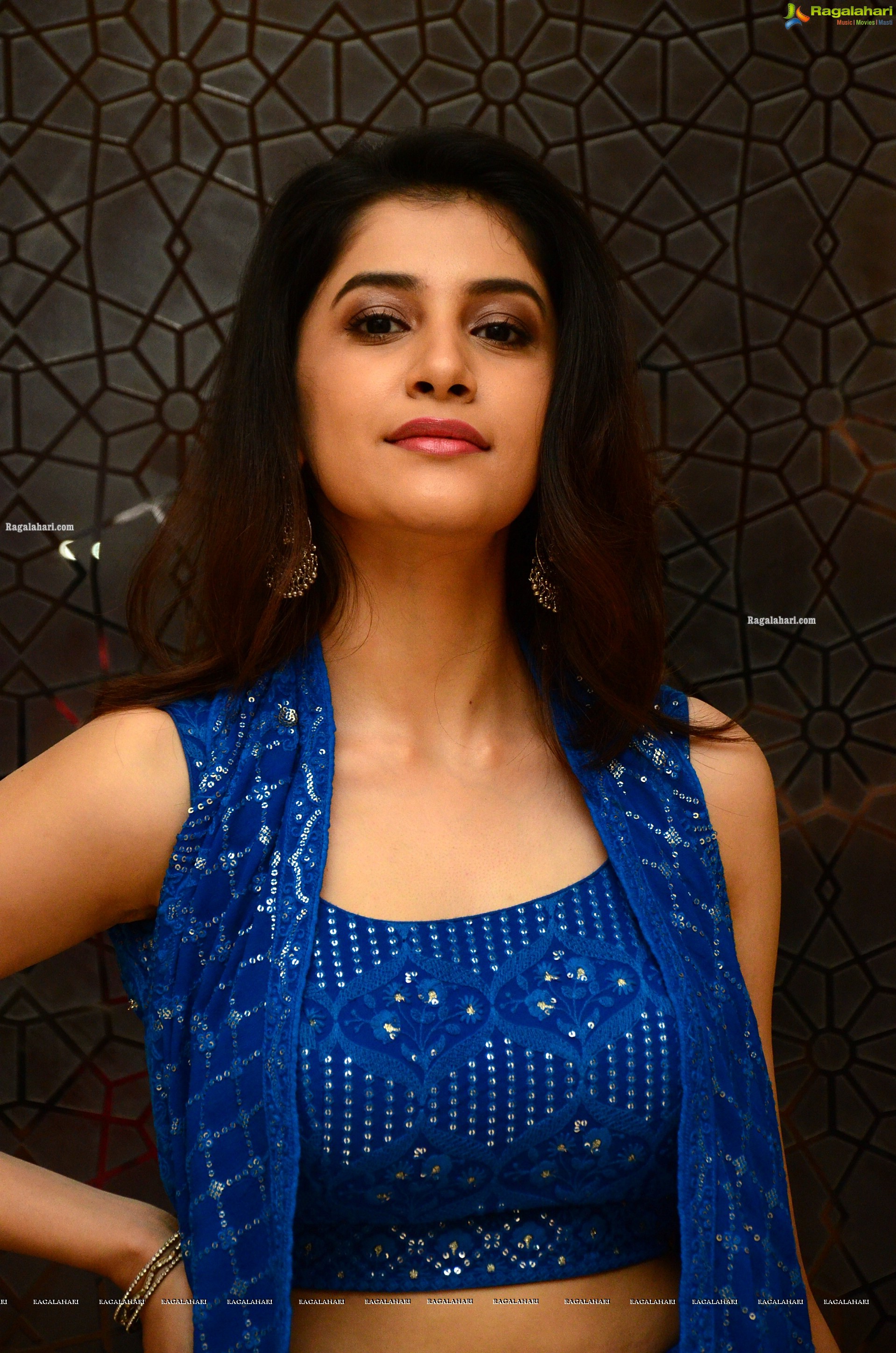 Simran Sharma at Oka Chinna Family Story Webseries Pre-Release Event, HD Gallery