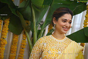 Tamannaah Stills at Bhola Shankar Movie Opening