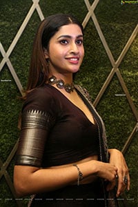 Tanya Ravichandran at Raja Vikramarka Pre-Release Event