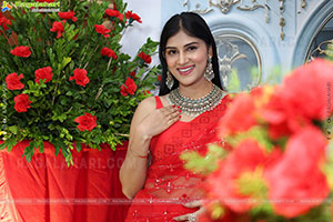 Aparna Reddy stills in Red Saree, HD Gallery