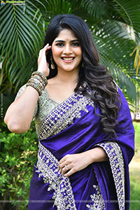 Megha Akash at Vikkatakavi Pre -Release Press Meet