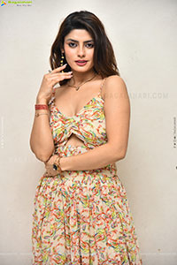 Heroine Krishna at Seetha Prayanam Krishna Tho Pressmeet 