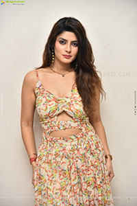 Heroine Krishna at Seetha Prayanam Krishna Tho Pressmeet 