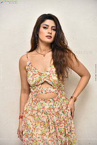 Heroine Krishna at Seetha Prayanam Krishna Tho Pressmeet 