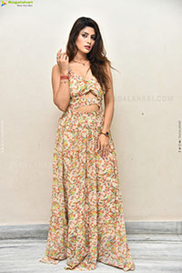 Heroine Krishna at Seetha Prayanam Krishna Tho Pressmeet 