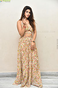 Heroine Krishna at Seetha Prayanam Krishna Tho Pressmeet 