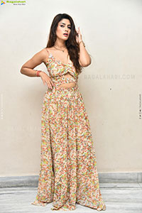 Heroine Krishna at Seetha Prayanam Krishna Tho Pressmeet 