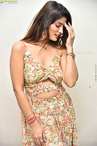 Heroine Krishna at Seetha Prayanam Krishna Tho Pressmeet 