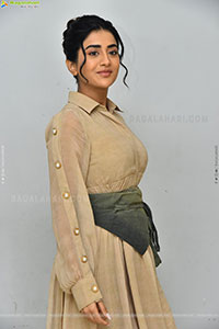 Rashi Singh at Paanch Minar Movie Success Meet