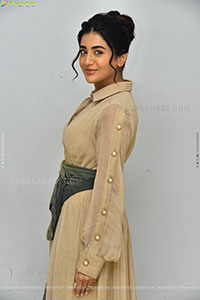 Rashi Singh at Paanch Minar Movie Success Meet