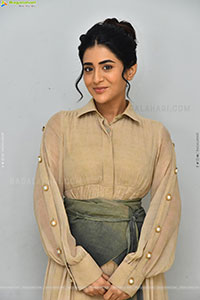 Rashi Singh at Paanch Minar Movie Success Meet