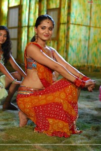 Anushka in Baladoor