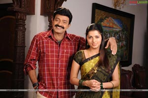 Rajasekhar, Bhumika