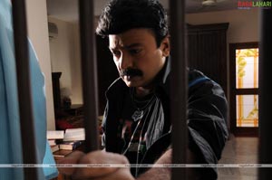 Rajasekhar, Bhumika