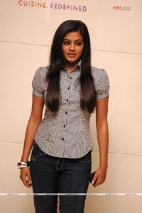 Priyamani Photo Gallery