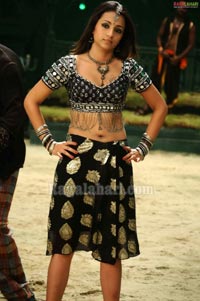 Trisha Photo Gallery