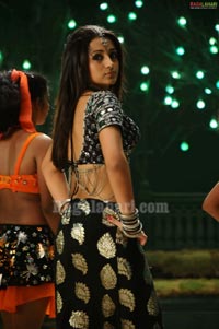 Trisha Photo Gallery