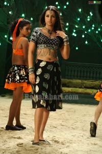 Trisha Photo Gallery