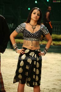 Trisha Photo Gallery