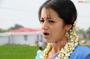 Trisha Photo Gallery