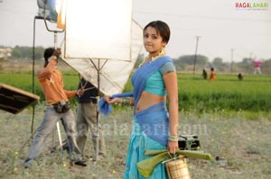 Trisha Photo Gallery