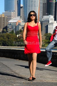 Trisha Photo Gallery from Shankam